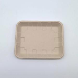 Biodegradable Bagasse Sugarcane Food Tray Fruits Vegetables Disposable Party