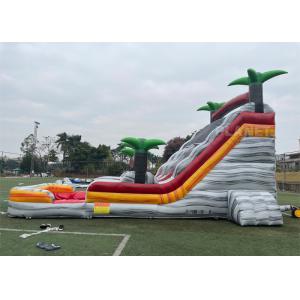 PVC Tarpaulin Puncture Proof Inflatable Water Slides With Pool