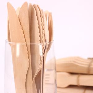 Eco Friendly Restaurant Biodegradable Custom Logo Printed Disposable Cutlery