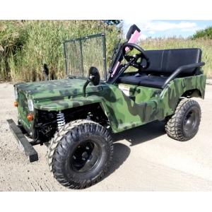 Chain 125cc Electric Buggy For Adults Semi Auto With Reverse