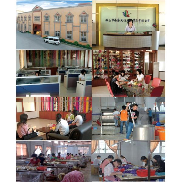 Ostrich Feather for Millinery Supplies EMS Shipping Party and Carnival Decoration