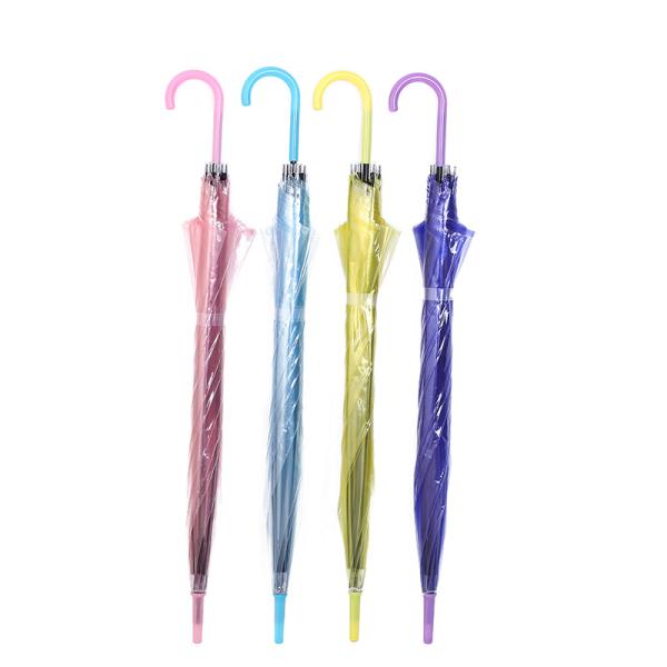Plastic Creative Small Fresh Long Handle Transparent Umbrella with Auto Open Function