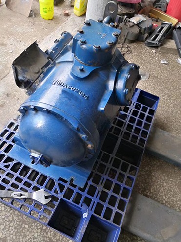 Carrier Cooler 20ft Reefer Container with Side Door Aluminum Bottom Thermo King Refrigerated Freezer