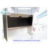 H13 Laminar Flow Biosafety Cabinet To Avoid Bacterial Funghi Contaminants for sale