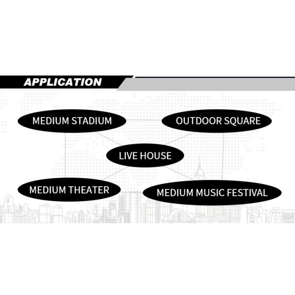 1000W Line Array Outdoor Speakers Customized Line Array 3 Way System