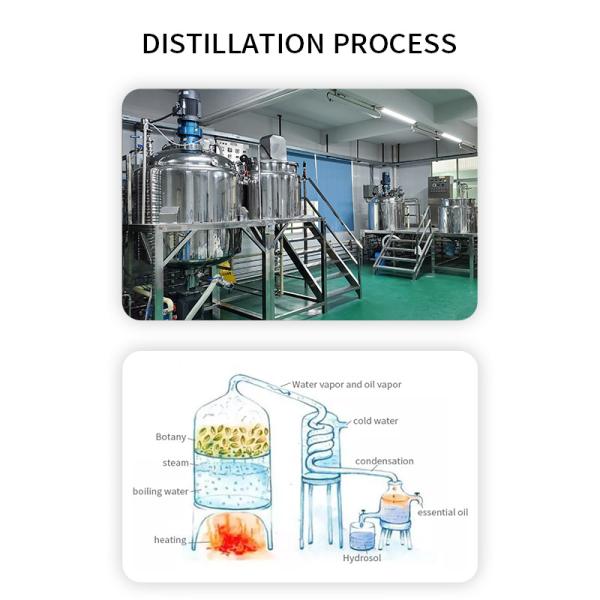 100% pure organic CBD Oil hemp seed Oil Natural Refined Hemp Oil For Skin Care