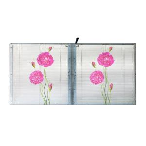 Shopping Mall LED Transparent Video Wall LED Display , Indoor Glass Wall LED
