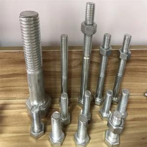 Hex Head Type Stainless Steel Bolts with NPT Thread and Polish Finish