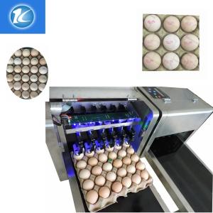 Automatic Egg Batch Coding Inkjet Printer With Thermal Foam Type Nozzle