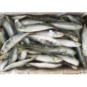 Sardinella Lemuru 100% Net Weight 90g Frozen Whole Sardines
