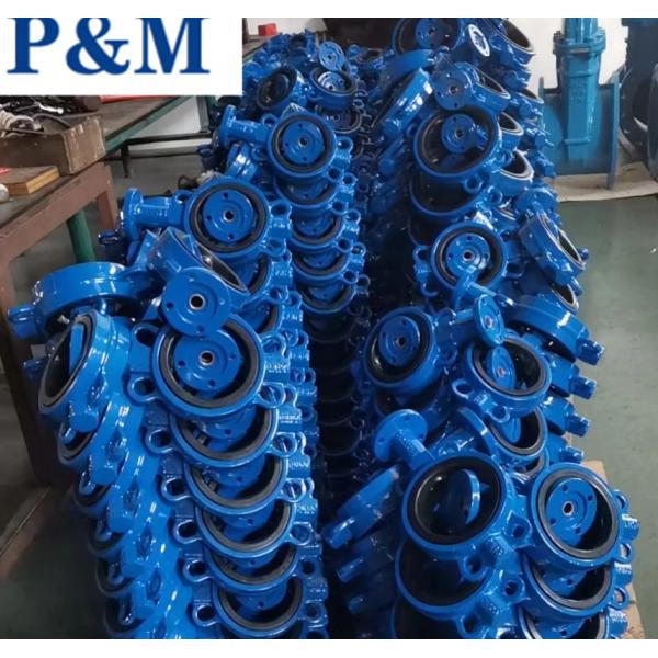 DIN3354 cast iron wafer butterfly valve without pin