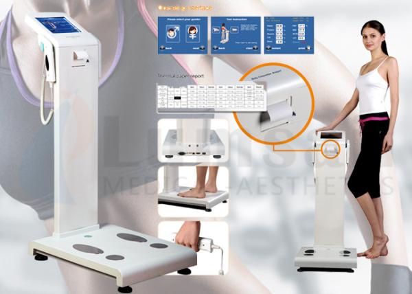 Quality Two Frequency Body Composition Analyzer Fat Analysis Machine With Computer Software And Thermal Printer Inside for sale