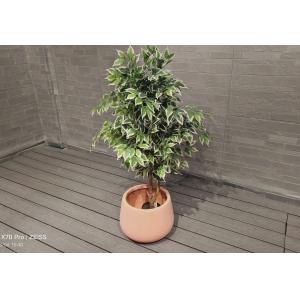 Modern Reinforced Clay Planter High Durability With Drainage Holes