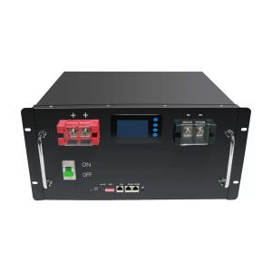 LiFePO4 Lithium Battery 48V 100AH 200AH OEM ODM Lithium Ion BMS Rechargeable