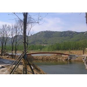 Q355B Steel Structure Bridge Construction Galvanized Prefabricated