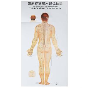 Body Meridian Acupuncture Culture Modern Acupuncture And Embedding Point