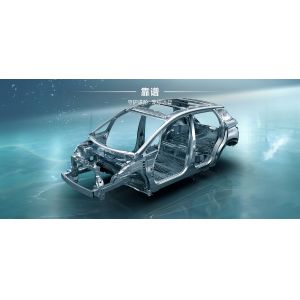 BYD 2025 Dolphin 520km Knight Edition EV