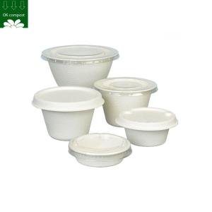 Custom Biodegradable Sugarcane Bagasse Pulp Fiber Fast Food Packing Paper Box