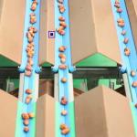 8-Lane Palm Dates Sorting Machine AI Deep Learning Size Sorting 2.0 Tons per