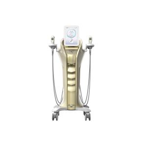 Wholesale HIFU Facelift Machine Neo Doublo: Tighten &amp; Smooth Skin With High Intensity Focused Ultrasound MMFU &amp; Rf from china suppliers