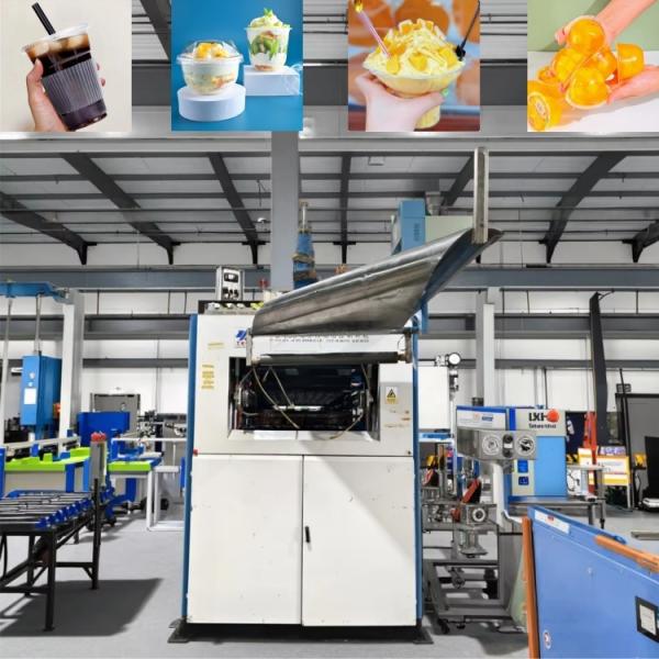 Fully Automatic Disposable Plates And Cups Making Machine With PLC Control System