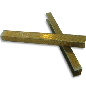 8016 series golden color durable furniture staples supplier in guangdong