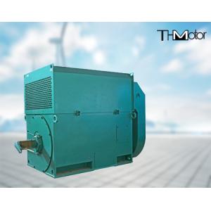 11000v Variable Speed Three Phase Asynchronous Motor IP55