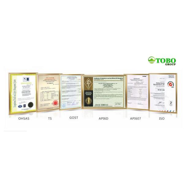 ASTM B564 UNS N08825 RF 6" 150LBS Spectable Blind Flange