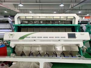 China WENYAO Coffee Bean Selecting Machines Coffee Bean Separation AI Optical Sorting Machines on sale