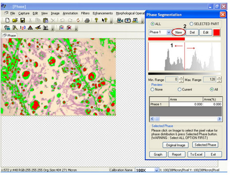 Quality Metallurgical Image Analysis Measuring Software With Edge Detection for sale