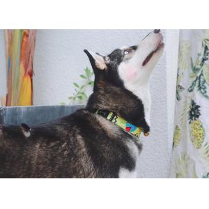 1.5cm Polyester Dog Collar For Dye Sublimation Hidream Dog Harness Personalized