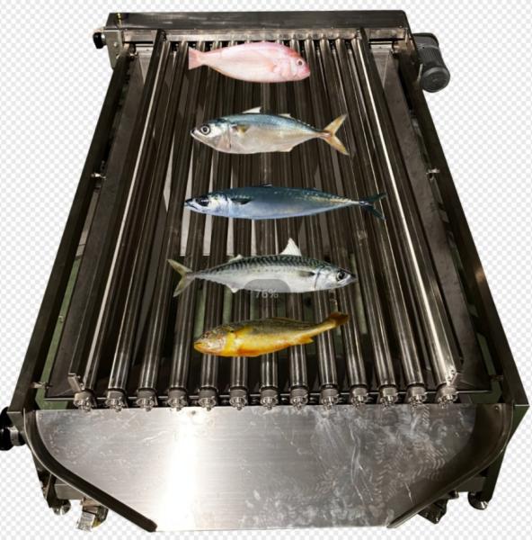 Quality Capacity 5-10T/H Fish Automatic Sorting Machine, Sizing Small Fish And Grading Ocean for sale
