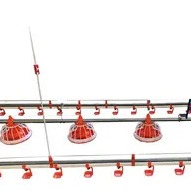 Duck Goose House Pan Feeder Poultry Feeding Systems Yellow Red