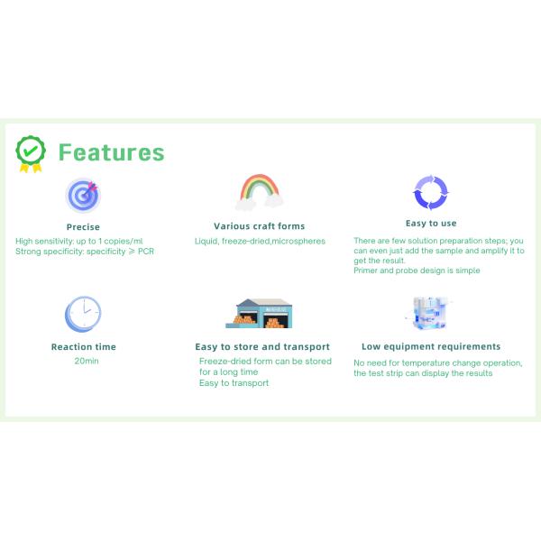 Overall solution for thermostatic detection of largemouth bass rhabdovirus