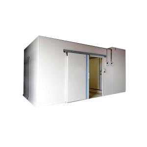 Wholesale Assembled PU/XPS Panel Cold Storage Cold Room Condensing Compressor Unit for Banana from china suppliers