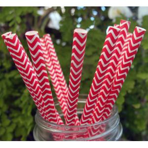 Red Chevron Patterned Party Paper Straws (12 Pack)