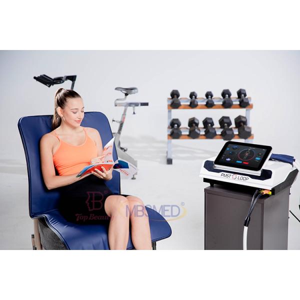 PMST PEMF Loop Pulsed Electromagnetic Field Magneto Therapy Device
