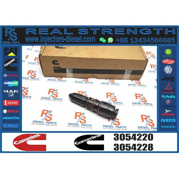 CCEC NH/NT855 NT495 NT743 NTA855 Diesel Engine Parts Common Rail Diesel Fuel Injector 3054220 4951462 With High Quality