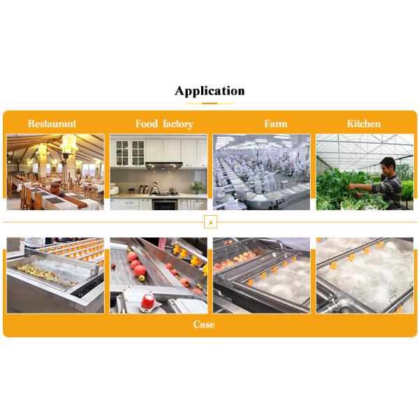 Small Scale Automatic Vegetable Bubble Washing and Sorting Machine with Long Service Life