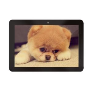 10 Point Capacitive High Definition Media Player Wall Mount Installation