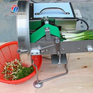 0.375KW Vegetable Processing Machine Desktop Leeks Cutter