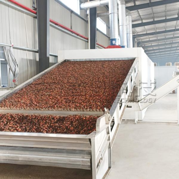Nuts Beans Processing Automatic Continuous Belt Dryer Peanut Pistachio Coffee