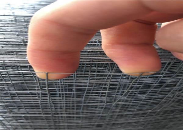 Quality 1mx30m 1.24mm Galvanised Welded Wire Mesh for sale