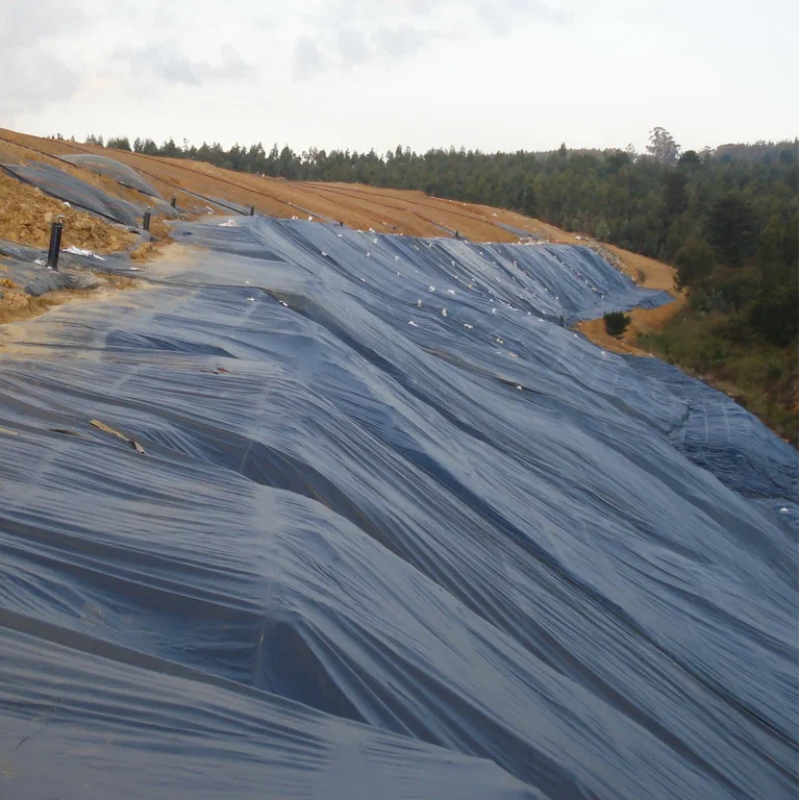 HDPE Geomembrane Pond Liner Engineered for Seamless Containment in Diverse