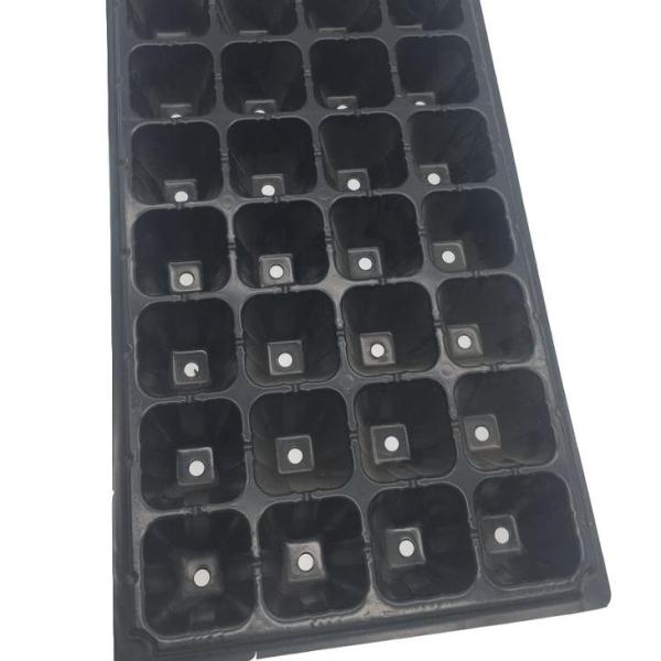 Germination tray for greenhouse vegetables nursery and growing & Nursery plant