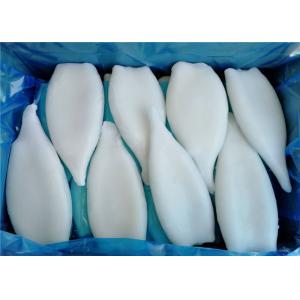 Todarodes Pacificus 100% Net Weight U5 Frozen Squid Tubes