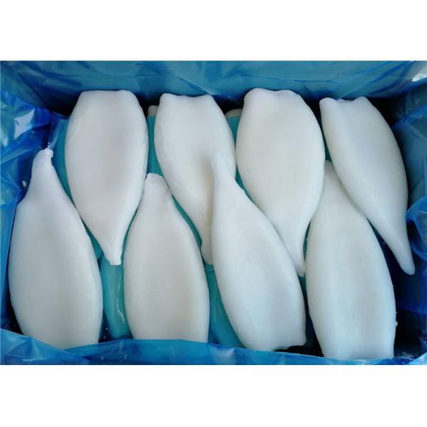 Todarodes Pacificus 100% Net Weight U5 Frozen Squid Tubes