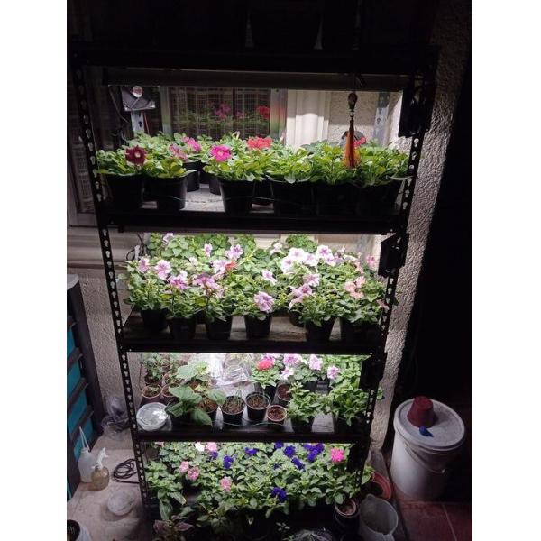 Vertical Adjustable LED Panels Hydroponic Grow Lamps 80W For Aquaponics