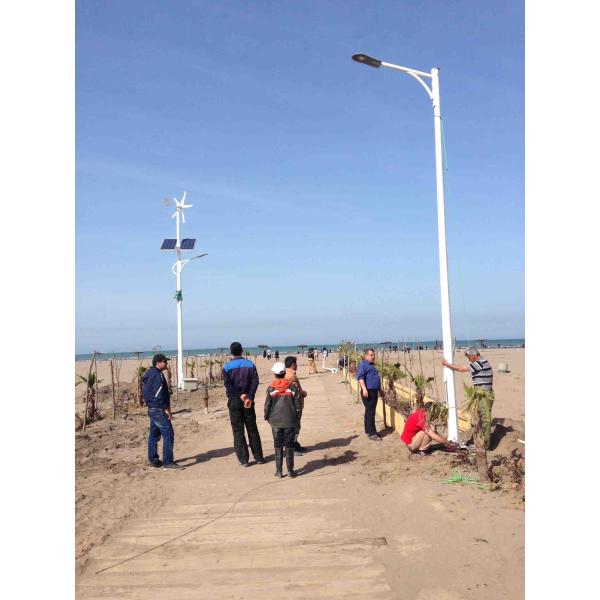 Cost Saving Green Powered White Lights 11W Solar LED Street Light System For Side Walks