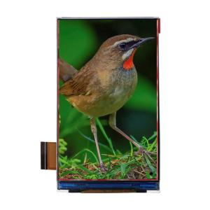 Wholesale Practical 480x480 HDMI LCD Screen , Anti Reflective TFT LCD Module from china suppliers